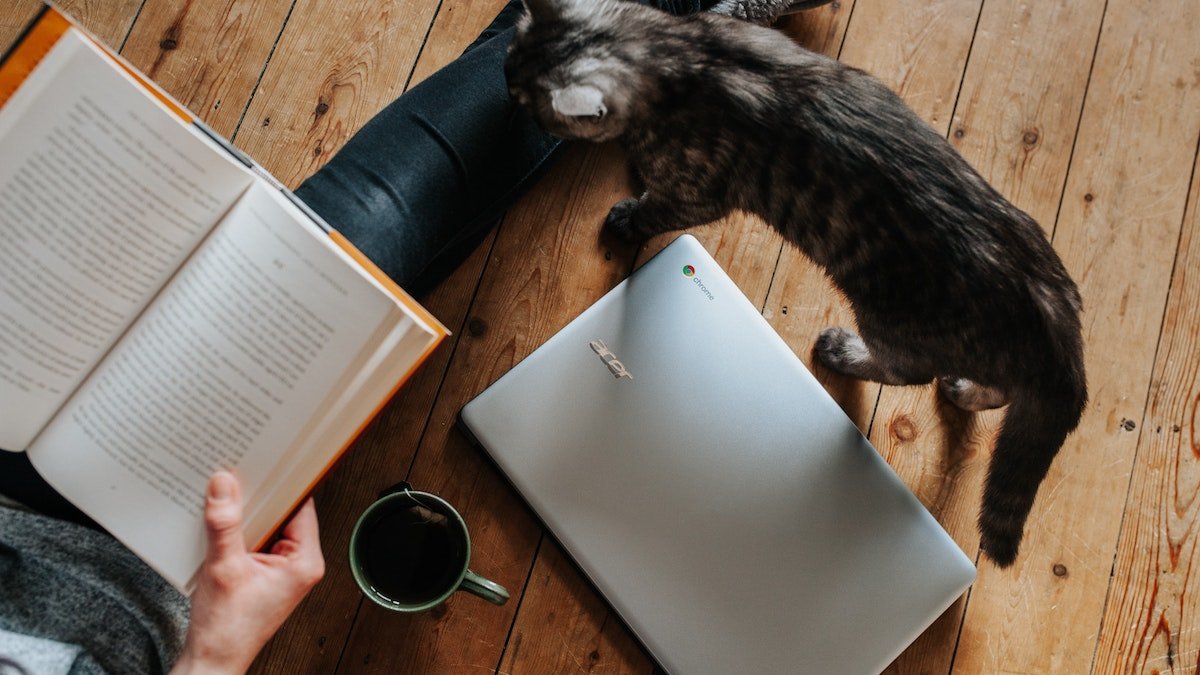 Reading book on the floor